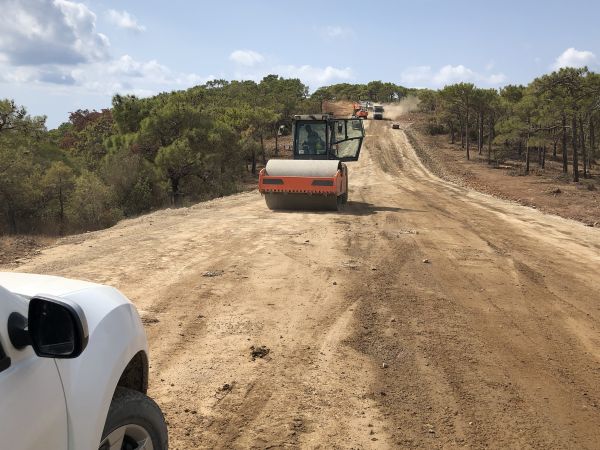 Cost of Driveway Grading in Monument