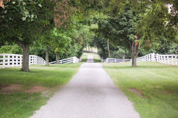 Cost of Gravel Road Installation in Monument