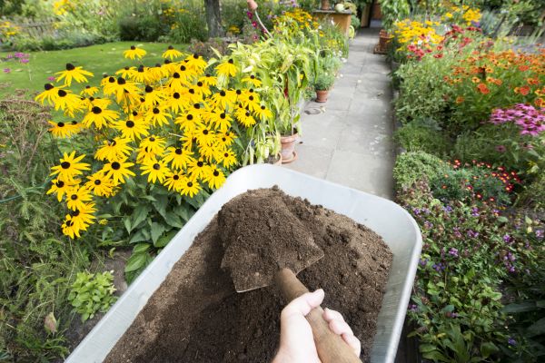 Cost of Topsoil Installation in Monument
