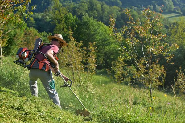 Cost of Slope Trimming in Monument